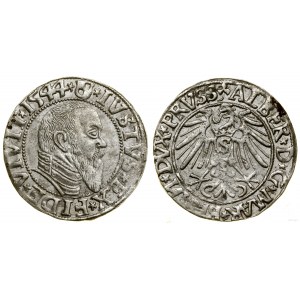 Prussia Ducale (1525-1657), penny, 1544, Königsberg