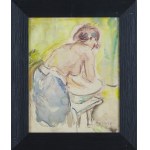 Ludwik Klimek (1912 Skoczów - 1992 Nicea), Toaleta