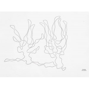 Władysław Strzemiński (1893 Mińsk -1952 Łódź), Drzewa, z cyklu „Białoruś Zachodnia”, 1939/1985