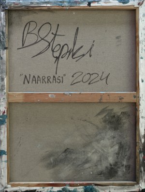 Bartosz Stępiński, Naarrasi