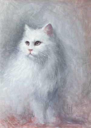 Katarzyna Jaworska, Biały Kot