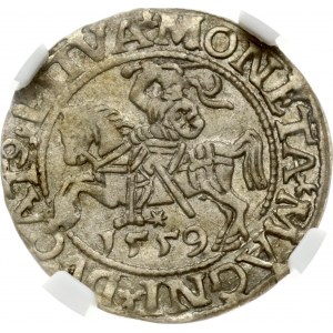 Lituania Polgrosz 1559 Vilnius NGC AU 55