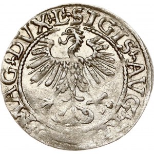 Lithuania Polgrosz 1561 Vilnius