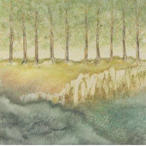 Danuta Kowalska, „Skarpa”,2007