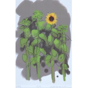 Marek Perepeczo, Tournesol, 2018