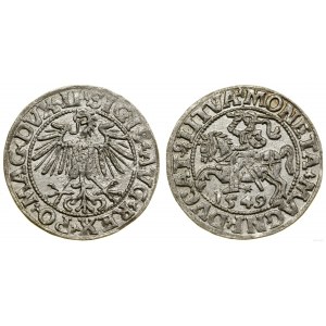 Polska, półgrosz, 1549, Wilno