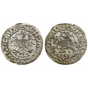 Polska, półgrosz, 1561, Wilno