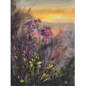 Anna Lenart, Heather Morning, 2024