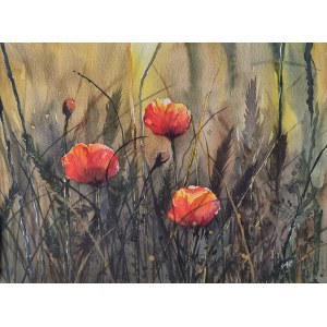 Anna Lenart, Poppies, 2024