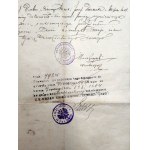 Akt Notarialny - Marcin Groyecki c.k. Notariusz w Żywcu - Żywiec 1908 [ Radziechowy]