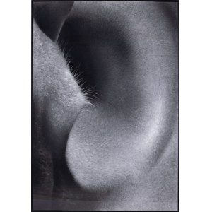 Łukasz Gierlak, Le porte del corpo, 2014