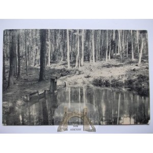 Rybnik, forest pond, 1913