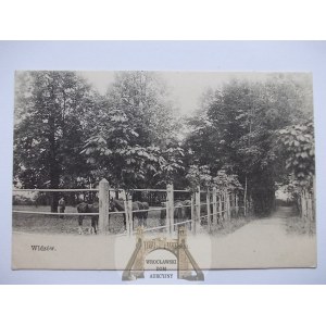 Widzów near Częstochowa, horse stud, ca. 1910