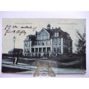 Ox, Wohlau, hospital, 1908