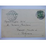 Lwówek Śląski, Lowenberg, panorama, 1905