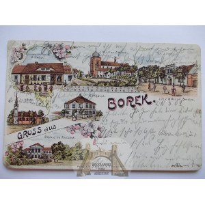 Borek Wielkopolski k. Gostyń, 6 widoków, 1902
