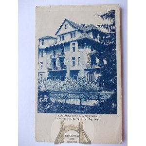 Krynica, kolonia nauczycielska, 1929