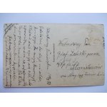 Krynica, kolonia nauczycielska, 1929