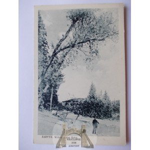 Rabka Zaryte, Widok znad Raby, ok. 1925