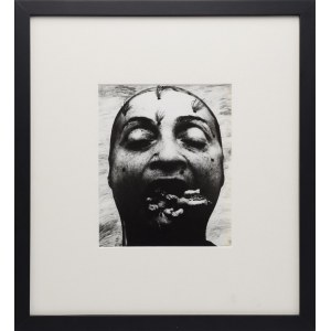 Natalia LL (1937-2022), Puszysta tragedia, 1987