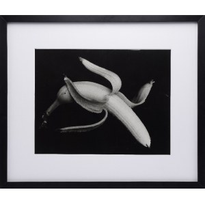 Natalia LL (1937-2022), Banan - seria A, 1995