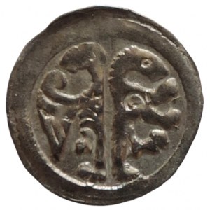 Přemysl Otakar II. 1253-1278, moravský denár Cach 899