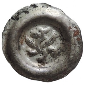 Přemysl Otakar II. 1253-1278, brakteát moravský Cach 955