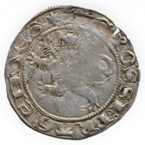 Jan Lucemburský 1310-1346, pražský groš Castelin 1