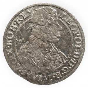 Leopold I. 1657-1705, VI krejcar 1665 SH
