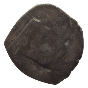 Rudolf III. 1298-1306, fenik CNA B 201 Wien