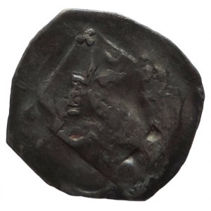Friedrich Sličný jako král 1314-1330, fenik CNA B 209