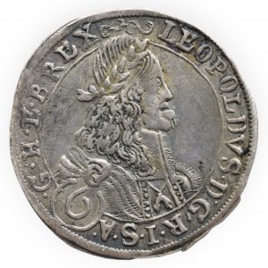 Leopold I. 1657-1705, 6 krejcar 1673 Svatý Vít