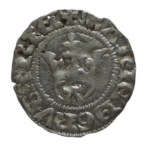 Mary of Anjou 1385-1395, denarius Husz. 569