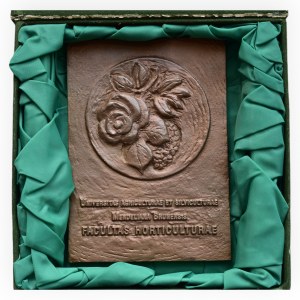 Brno, Mendelova univerzita v Brně, oboustraná plaketa 94x130mm, sign P.K., uloženo v orig.etui