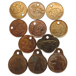 dog tags - 11 pcs various