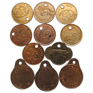 dog tags - 11 pcs various