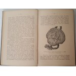 GLOGER Zygmunt - HISTORICAL GEOGRAPHY OF THE LANDS OF DAWNE POLAND with engravings in the text Wyd.1900