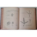 KORSAK Włodzimierz - ROK MYŚLIWEGO. Rzecz dla myśliwych i miłośników przyrody Wyd.1922