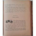 KORSAK Włodzimierz - ROK MYŚLIWEGO. Rzecz dla myśliwych i miłośników przyrody Wyd.1922