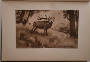 EJSMOND Julian - MY HUNTING ADVENTURES illustrated by Mackiewicz