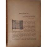 KUKIEL Maryan - DZIEJE ORĘŻA POLSKIEGO W EPOCE NAPOLEOŃSKIEJ Wyd.1912 ILUSTRACJE