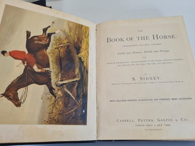 SIDNEY S. - THE BOOK OF THE HORSE 1892 Illustrations