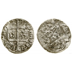 Pologne, denier, (1440), Buda