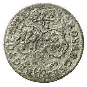 Jan III Sobieski, szóstak 1683, Bydgoszcz (871)