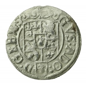 Gustaw Adolf, Półtorak 1631, Elbląg (921)