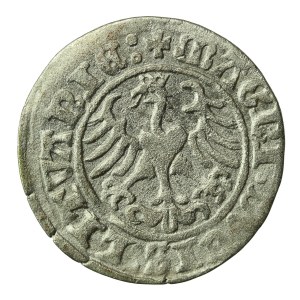 Zygmunt I Stary, Półgrosz 1510, Wilno. Rzadsze (929)