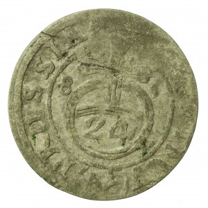 Prusy Książęce, Fryderyk Wilhelm, Półtorak 1685 (639)