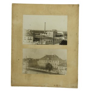 Września - Szkoła Mleczarska. II RP, 2 fotografie (372)