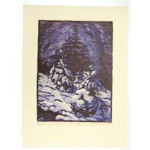 Paweł STELLER (1895-1974) - Noc księżycowa u źródeł Wisły, drzeworyt kolorowany pastelami, podpis autora P.Steller 39 (383)