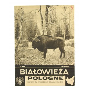 Bialowieza, Pologne, advertising folder, Second Republic (833)